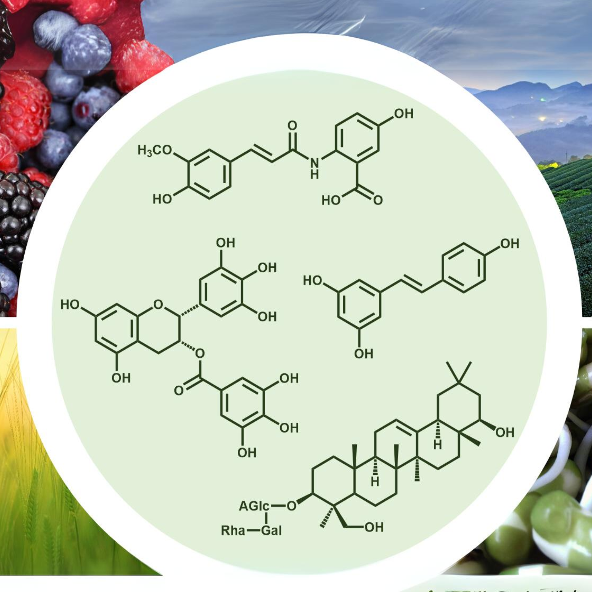 Phytochemical Pesticides